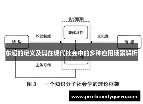 东超的定义及其在现代社会中的多种应用场景解析