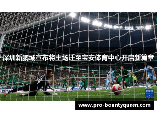 深圳新鹏城宣布将主场迁至宝安体育中心开启新篇章