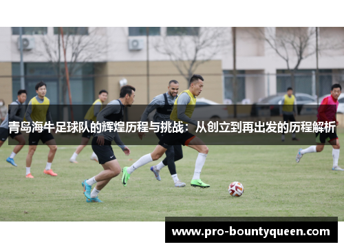 青岛海牛足球队的辉煌历程与挑战：从创立到再出发的历程解析
